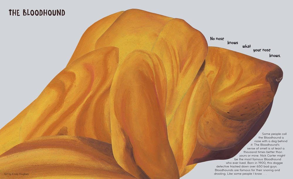 HarperCollins - Wholesale Pet  Book - Best in Show : David Elliott1