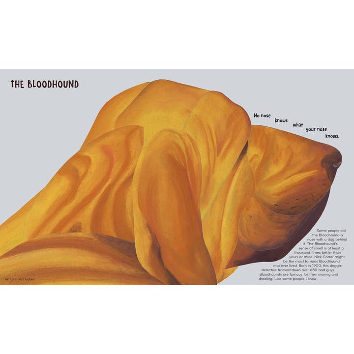 HarperCollins - Wholesale Pet Book - Best in Show : David Elliott1