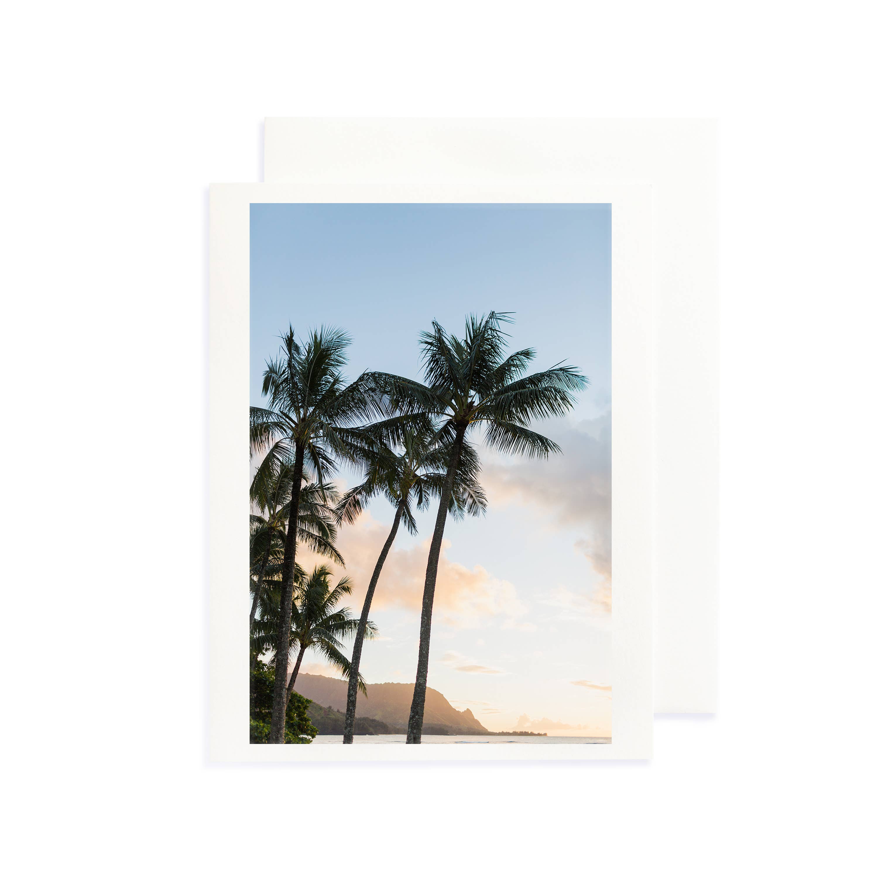 Sea Light Print Shop - Wholesale Everyday Greeting Card - Greeting Card Gift Set 6