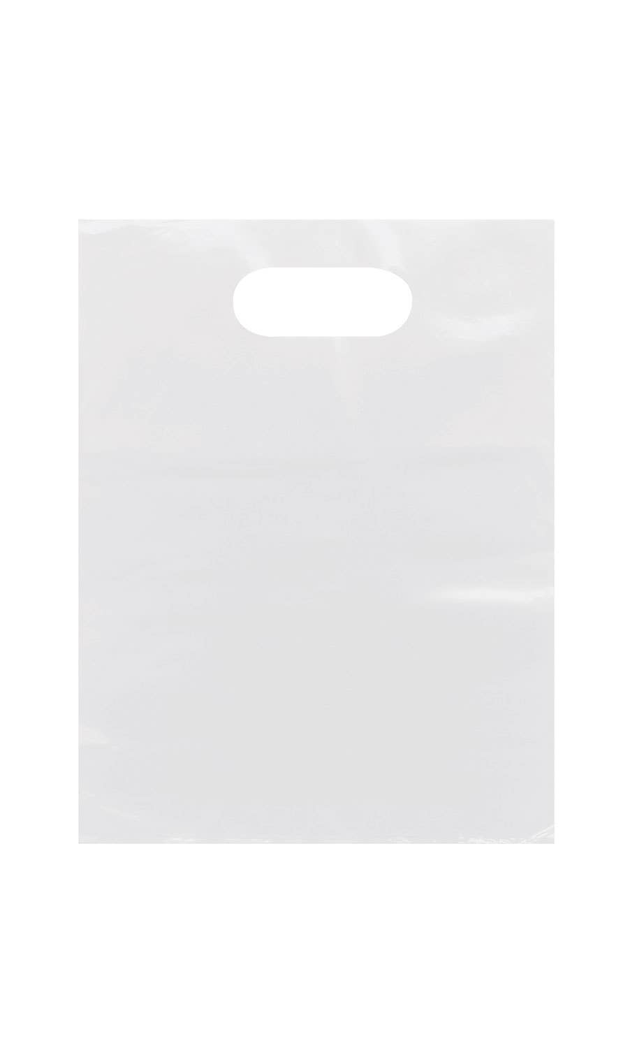 Store Supply Warehouse - Wholesale Gift Bag - Frosted Retail Merchandise Bags10