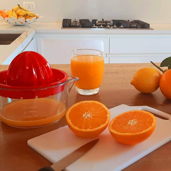 Rigamonti Pietro & Figli srl - Wholesale Juicer - Art. 98 DOUBLE citrus squeezer - mixed ORANGE and RED7