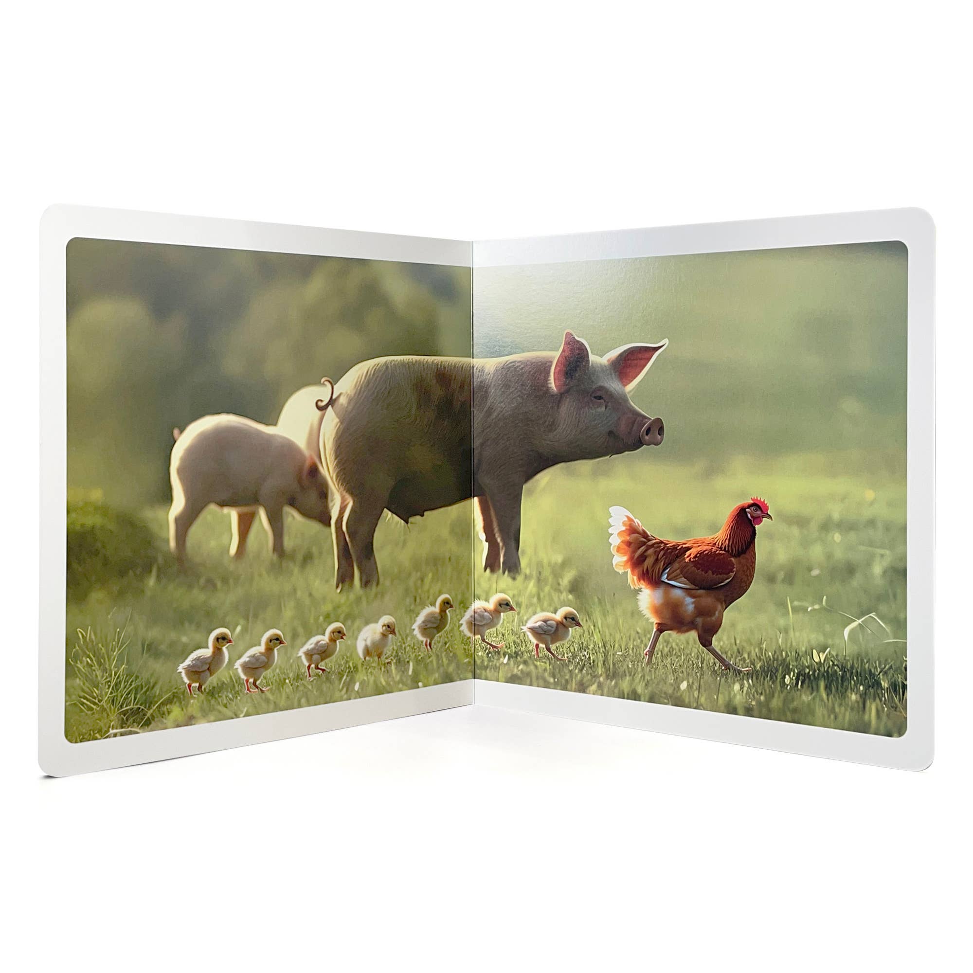 Nowordbooks - Wholesale Preschool Book (3-5) - I Spy on the Farm - Wordless Photo Book NWB1341