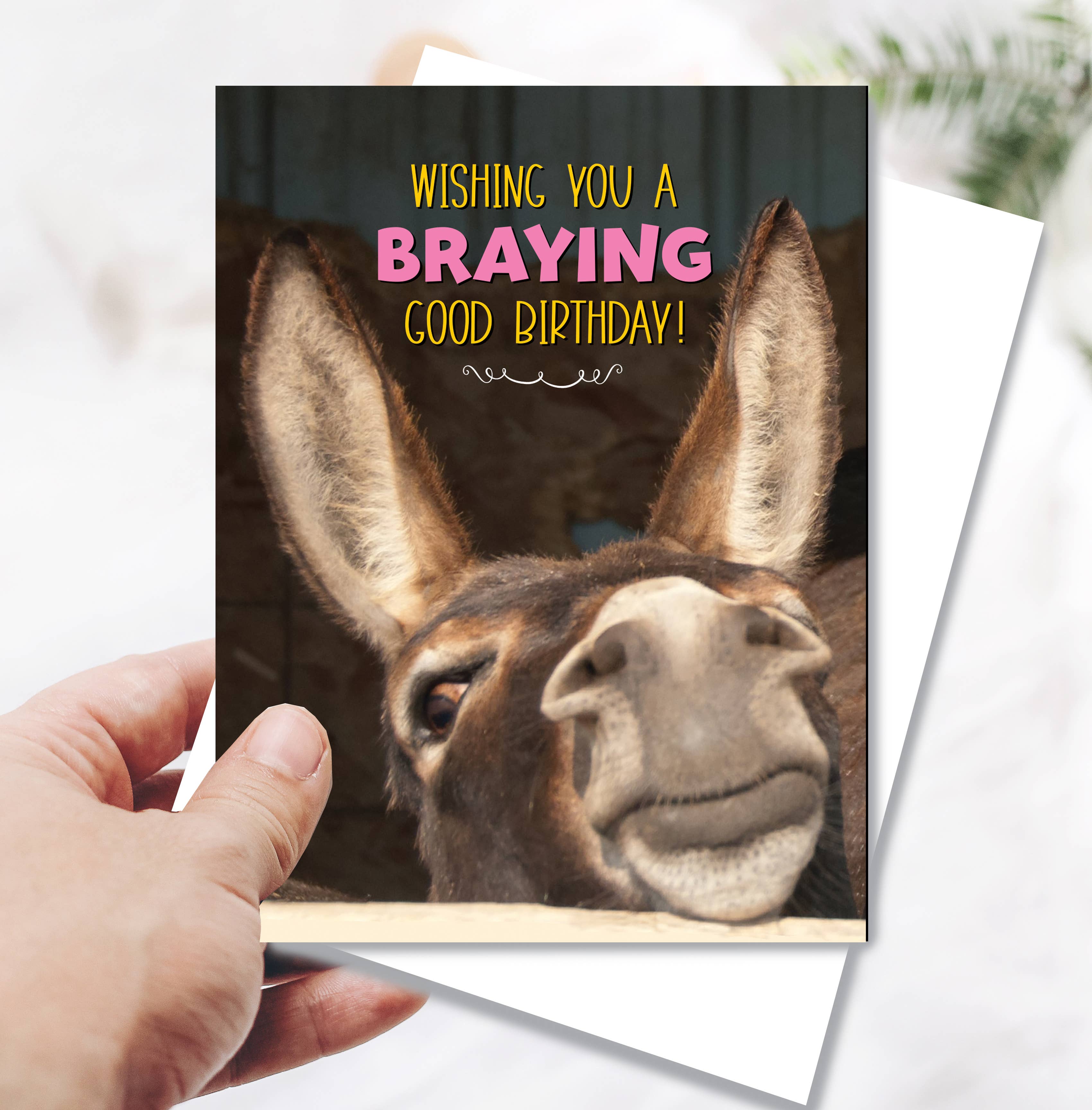 Horse Hollow Press - Wholesale Birthday Card - Donkey Greeting Birthday Card / Braying Good Birthday / Cute1