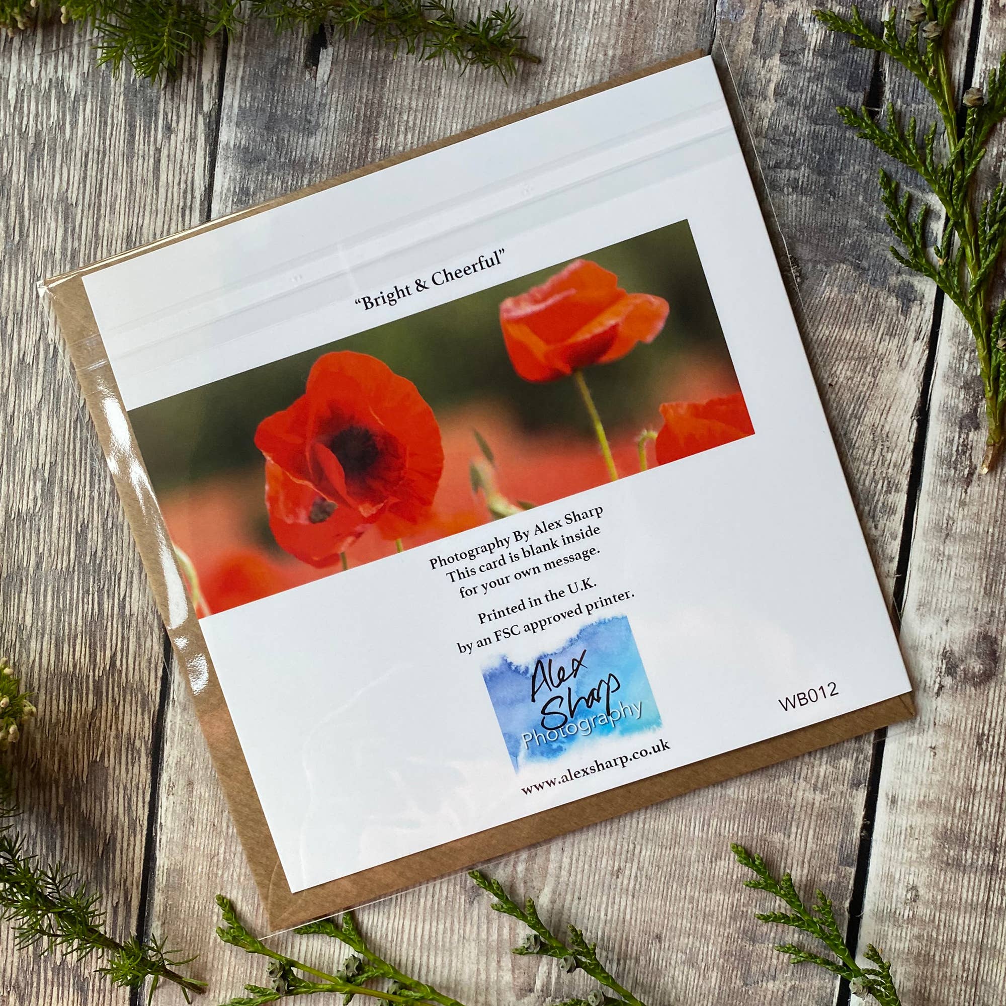 Alex Sharp – wholesale Vardagliga hälsningskort – Vallmo kort - Fält av vallmo gratulationskort2