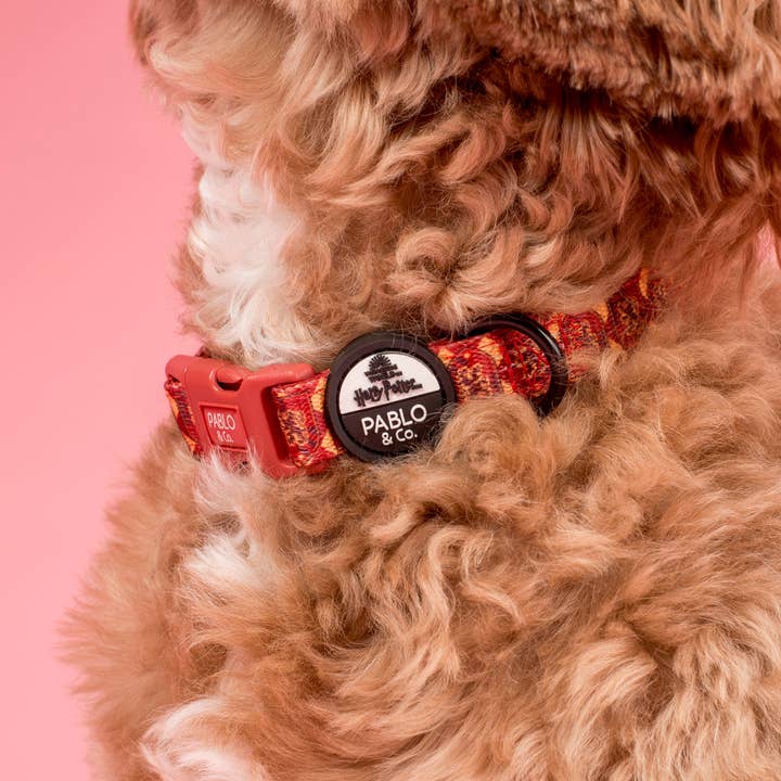 Pablo & Co. Boutique - Wholesale Pet Collar - Dog - Harry Potter - Gryffindor: Dog Collar