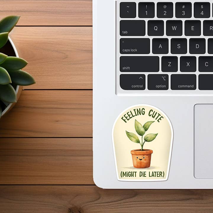 Missional Merch - Wholesale Sticker - Feeling Cute, Might Die Later | Funny Plant Sticker | Plants2