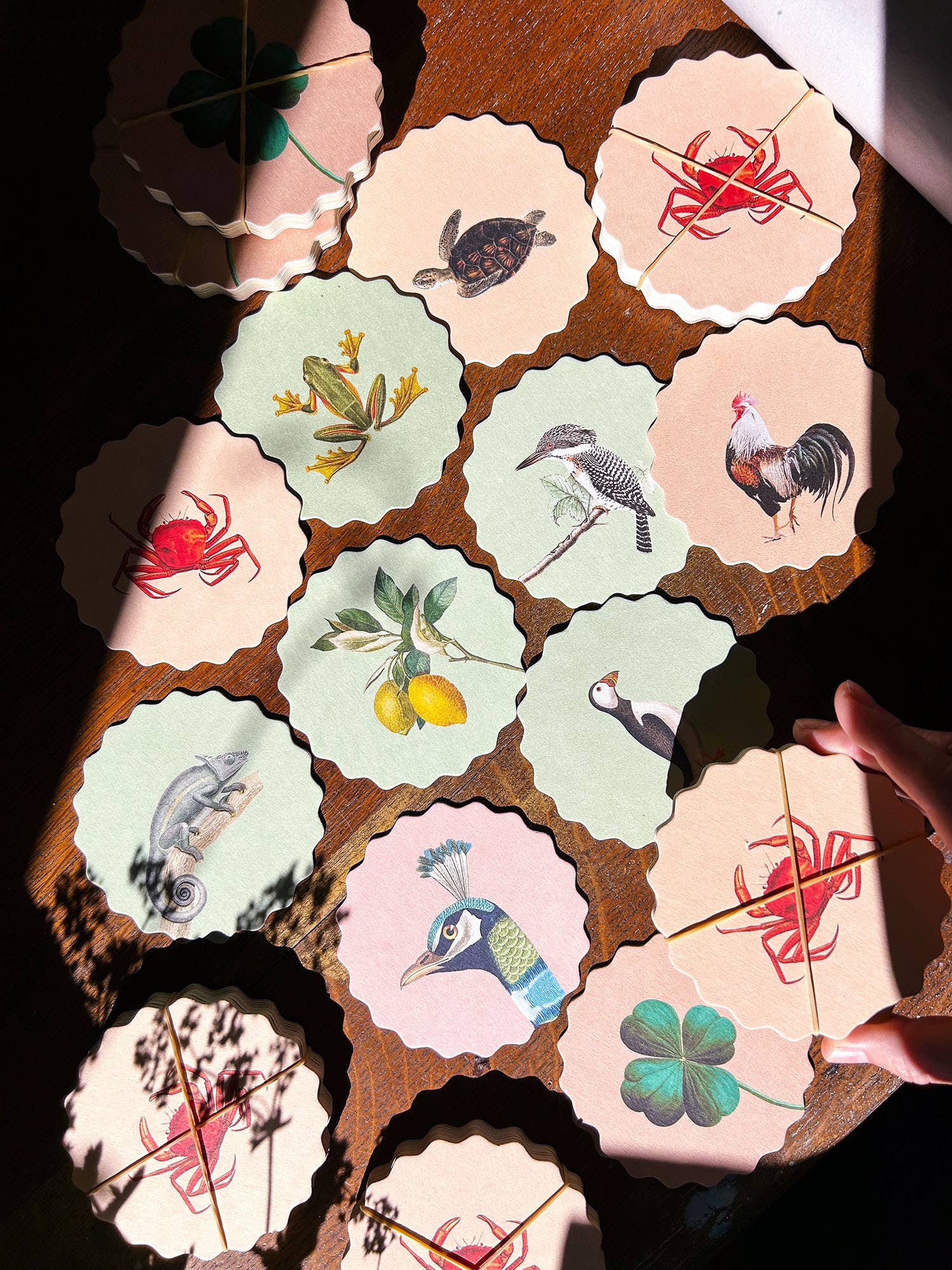 30x40 - Wholesale Coasters - Coaster Set Good Vibes 🍀🐓🐢 UPDATE - New Designs1