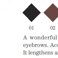 FLORELLE – Großhandel Augenbrauenstift/Füller – FLORELLE FL 224 Augenbrauenstift3