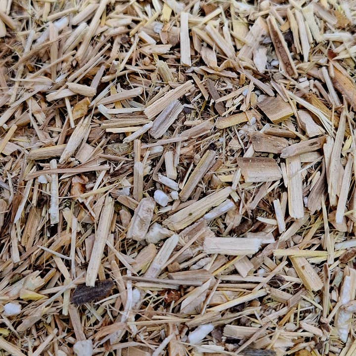 CADUCEUS kruidenapotheek - Vente Thé en vrac - Ginseng sibérien (Eleutherococcus senticosus) 1 kg