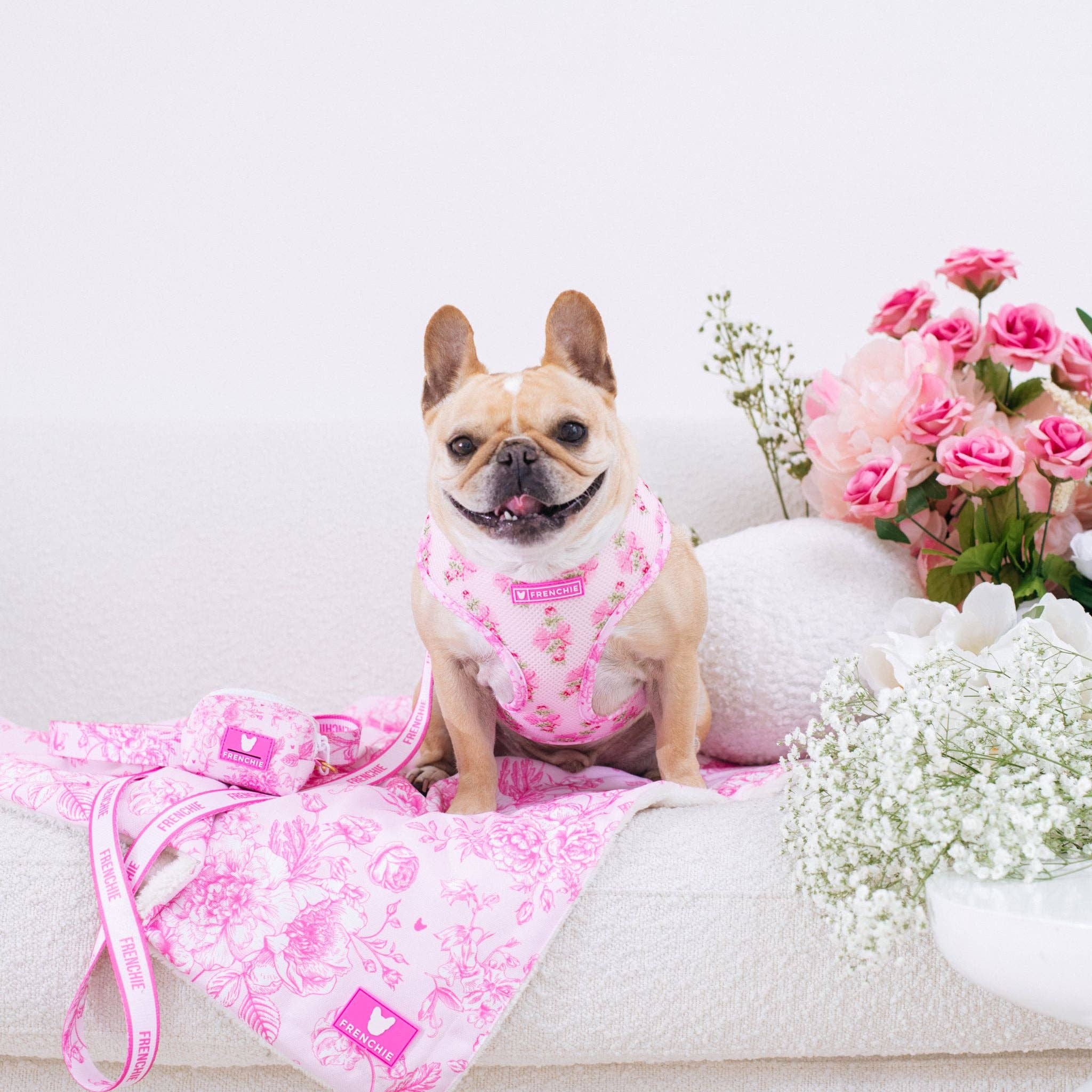 Frenchie - Wholesale Pet Harness - Dog - Frenchie Duo Reversible Harness - Toile- Pink2