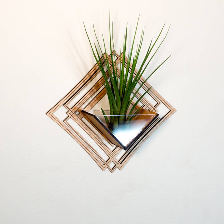LIGHT RAZOR DESIGN STUDIO - Wholesale Wall planter - Air Plant Holder / Wall Hanging Planter 5 - Mounted Hanger18