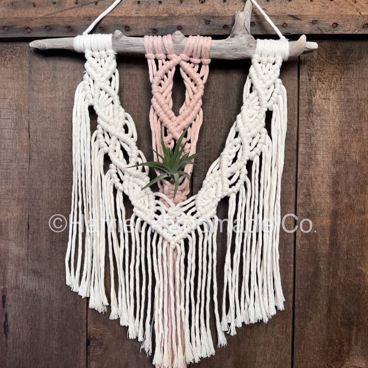Suspension murale en macramé bicolore pour plante aérienne – Plus de 50 couleurs pour la vente par Harriet Handmade Co.