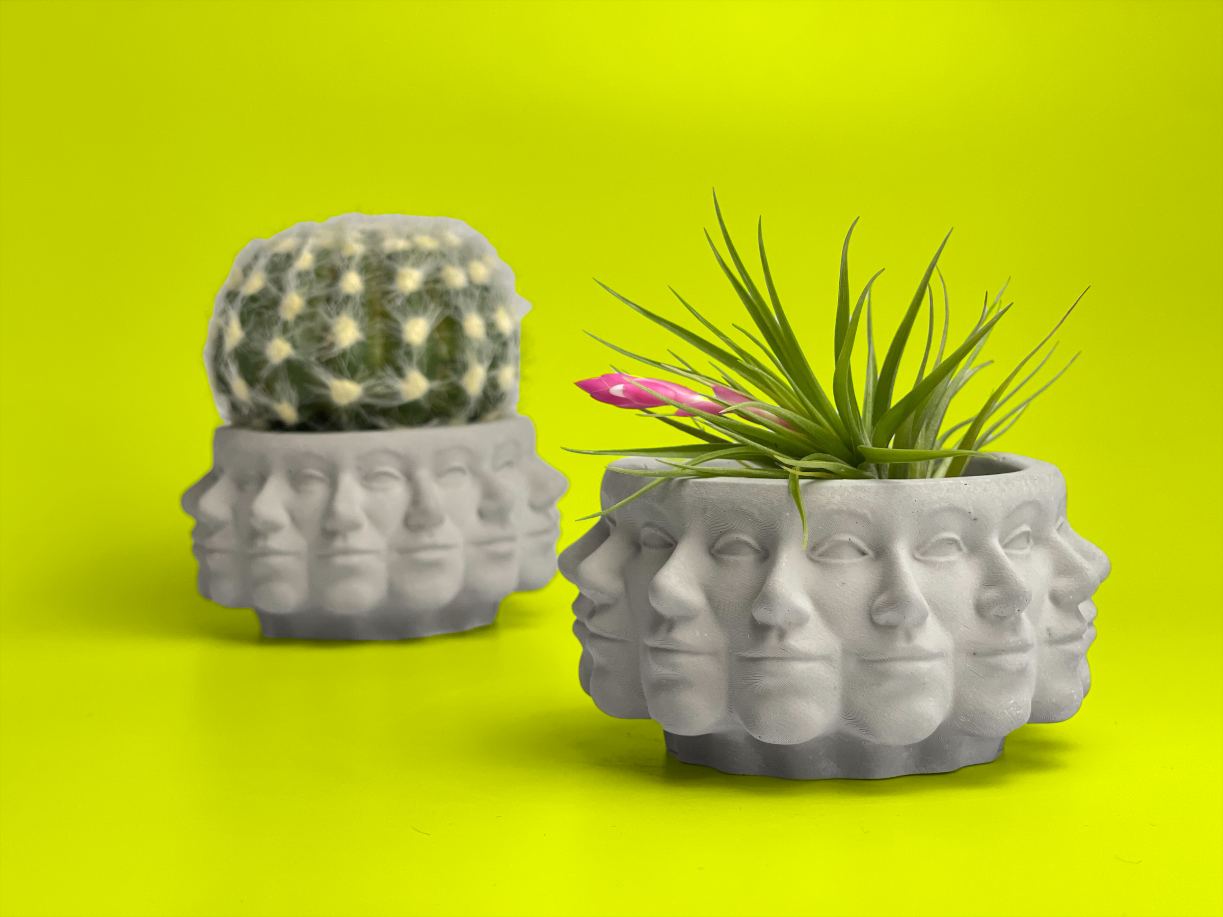 Planters Made in the USA - Wholesale Plant Pot - Multi Face Succulent Planter, Polyface Pot, Air plant Holder3
