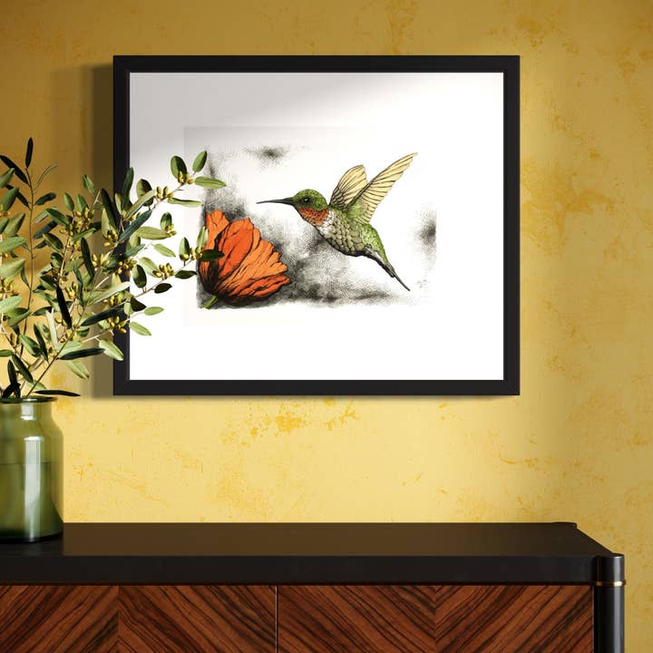 Tony Rubsam Illustrations – wholesale Konsttryck – Rubinhalsad kolibri & vallmopenna och bläckillustration