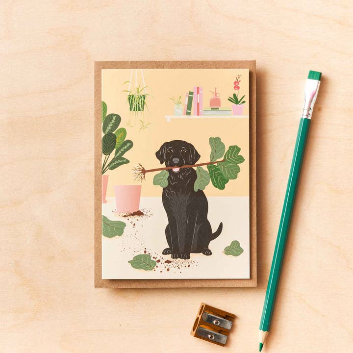 Another Studio - Wholesale Everyday Greeting Card - Labrador Dog - greetings card