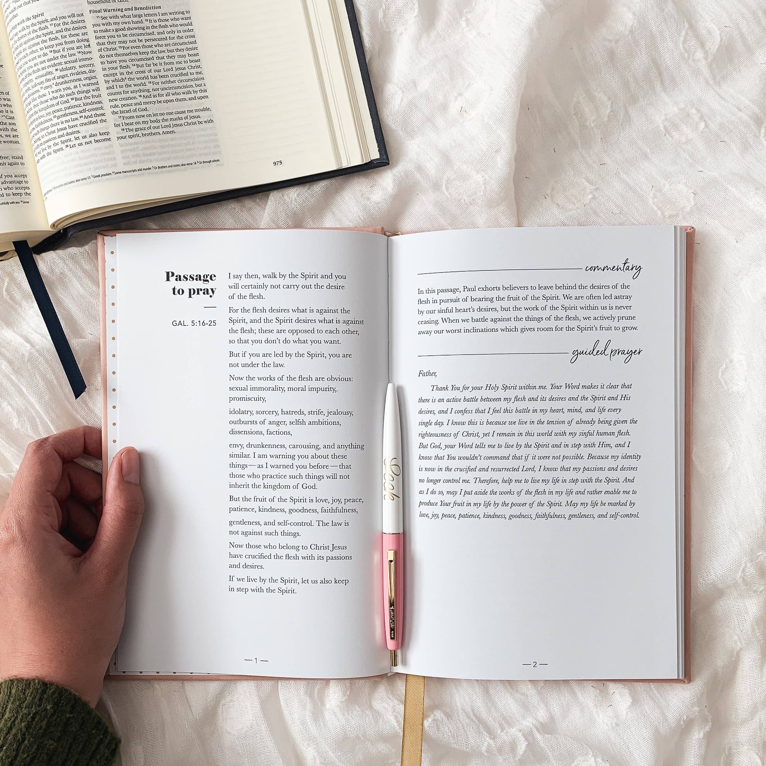 The Daily Grace Co - Wholesale Journal/Diary - All Things New  | Praying Scripture Journal2