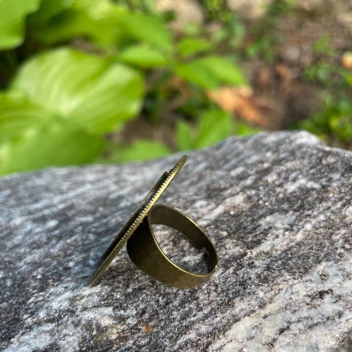 FringePop - Wholesale Cocktail/Statement Ring - Cheshire Cat Antiqued Bronze Adjustable Ring Alice in Wonderland Brass1