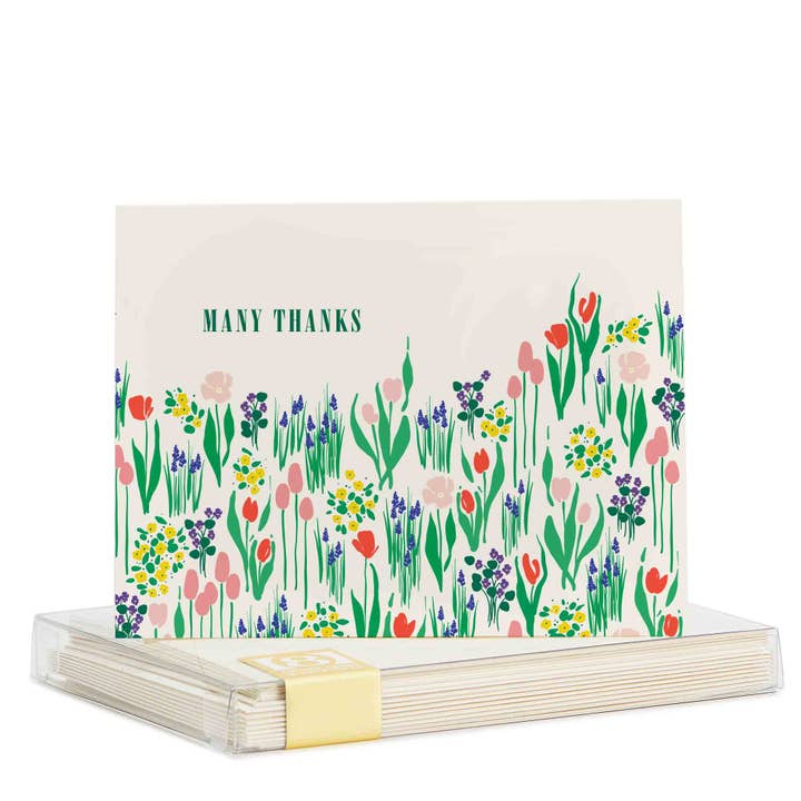 #3237 Conjunto de Notas Sheridan por atacado de Snow & Graham