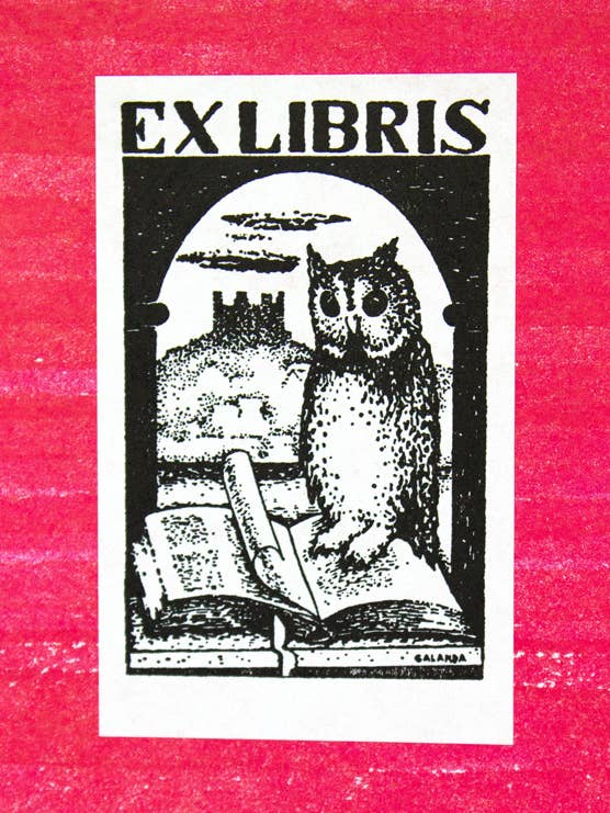 Owl for wholesale by Saturn Press