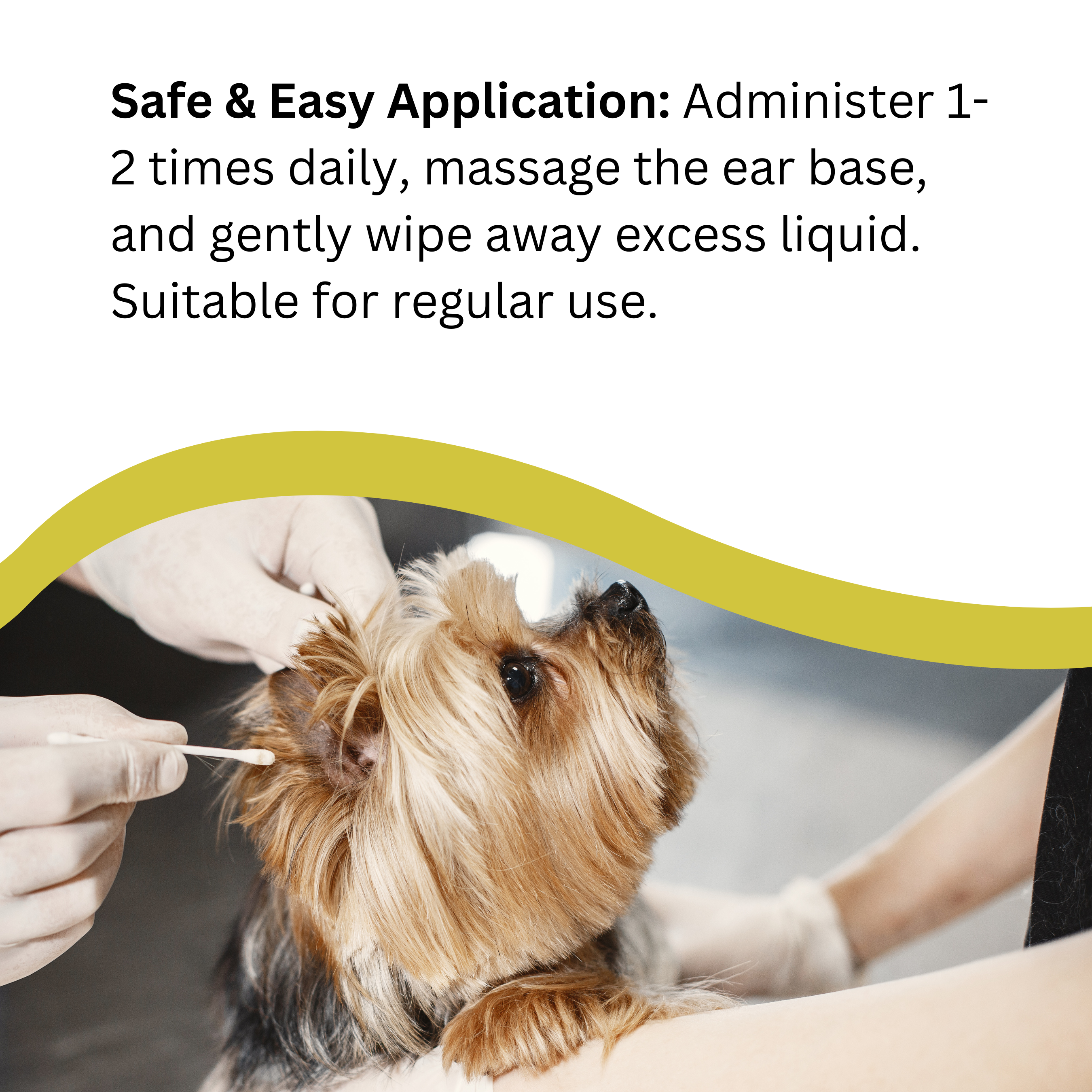 Natures Greatest Secret – wholesale Pet supplement – Dog – Cleansing Colloidal Silver PetCare Ear Drops for Dogs 30ml6