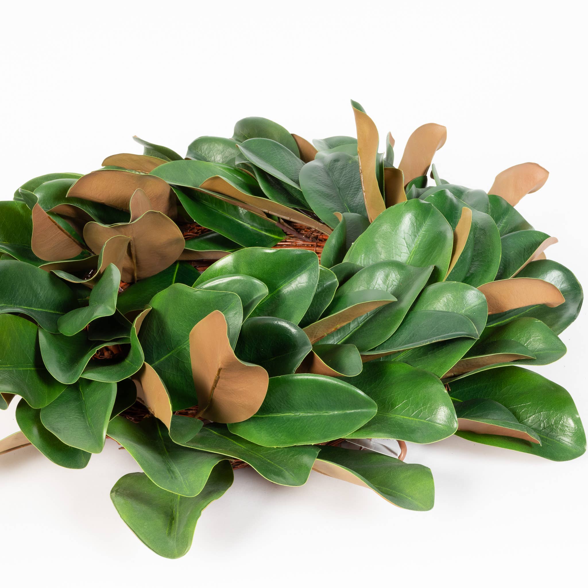 Mills Floral Company - Wholesale Wreath - Magnolia Leaf Wreath - 23 Inch3