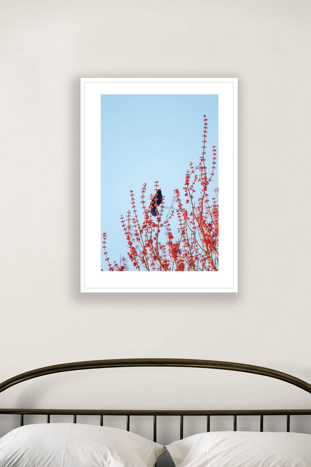 Brooke T Ryan Photographic Art - Wholesale Art Print - Red Tree on Sky Blue and a Black Bird: Nature Art Prints1