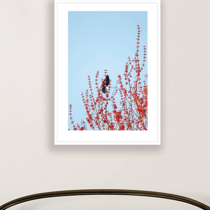 Brooke T Ryan Photographic Art - Wholesale Art Print - Red Tree on Sky Blue and a Black Bird: Nature Art Prints1