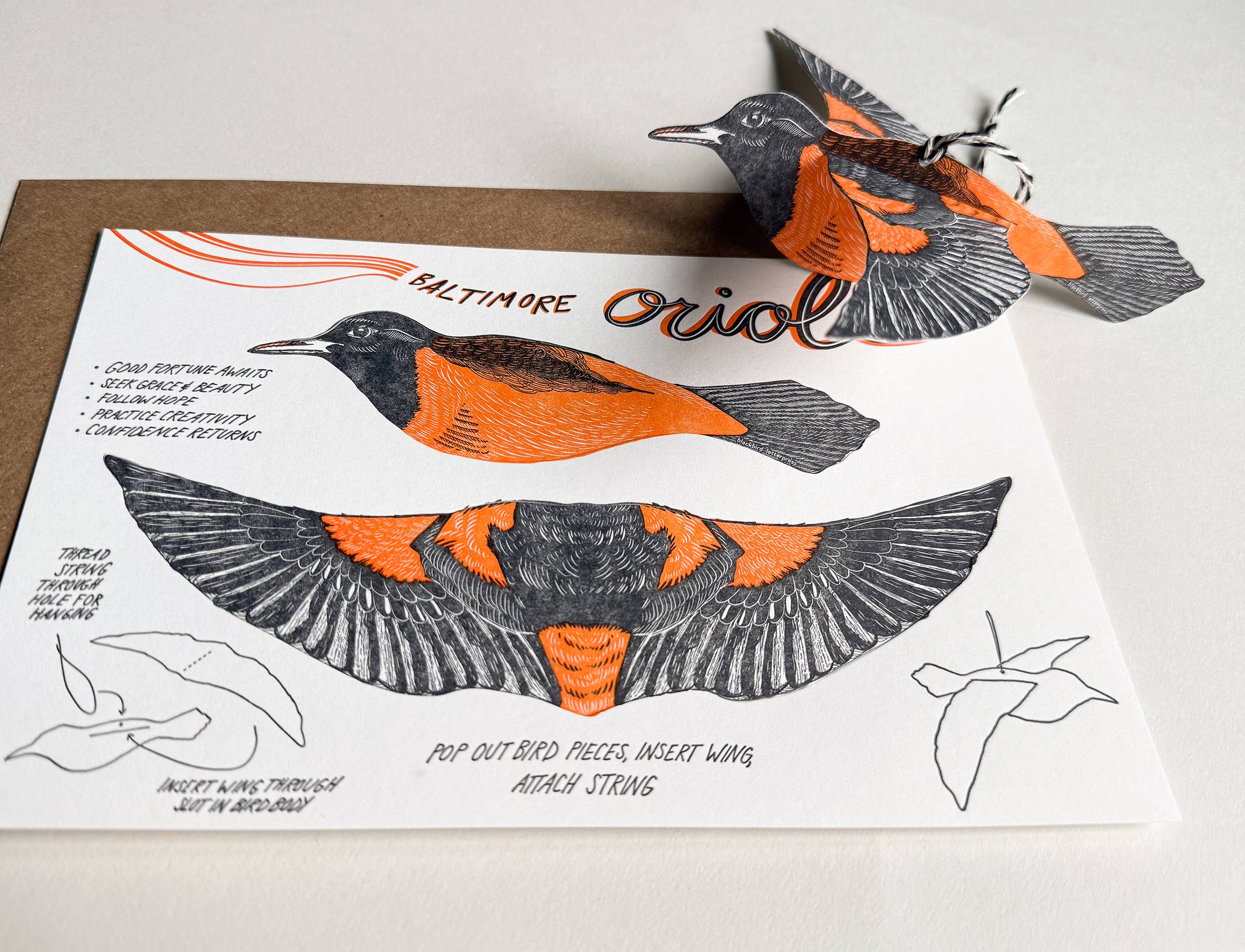 Blackbird Letterpress – wholesale Everyday greeting card – oriole pop-out bird card4