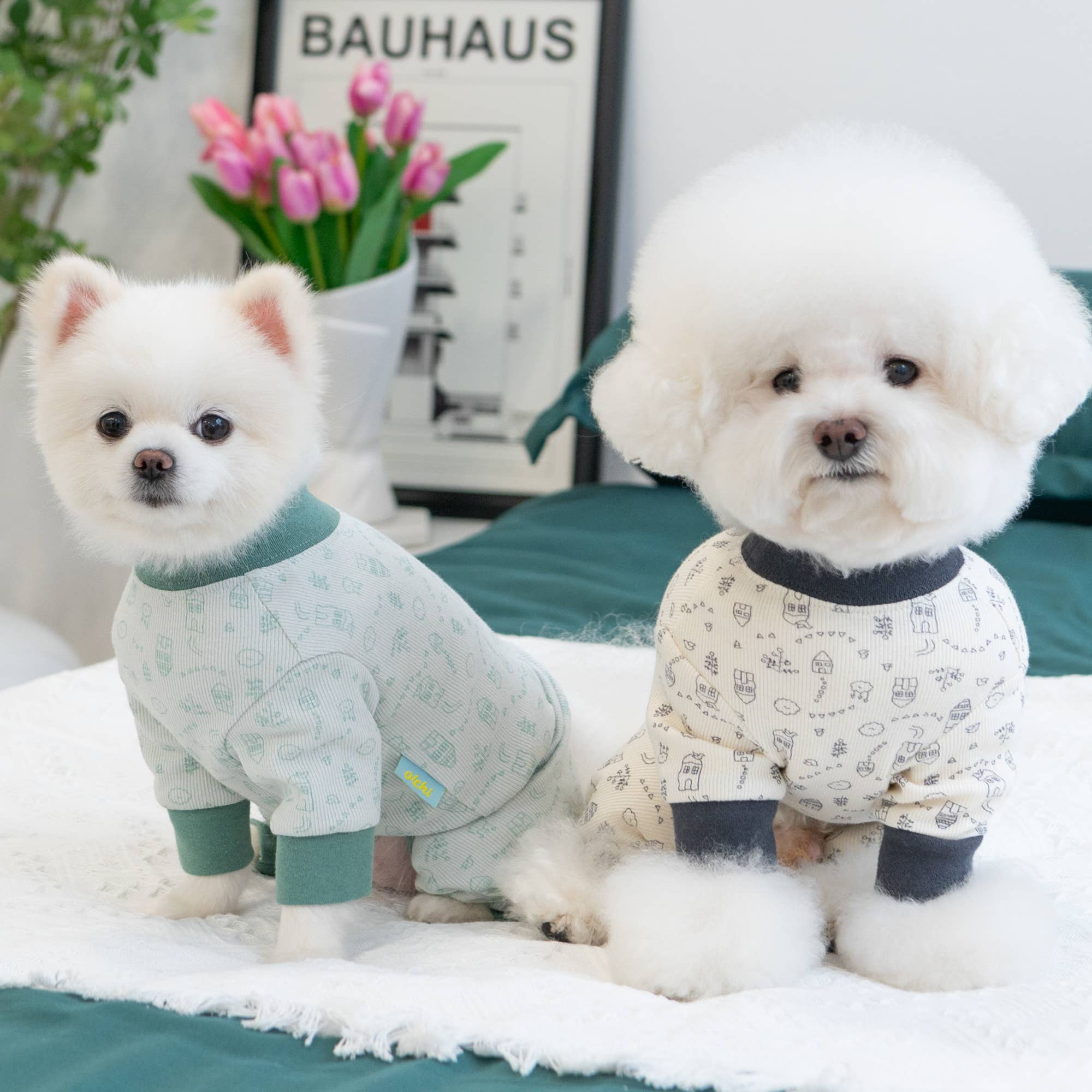 Olchi – wholesale Pet shirt – Dog – Olchi Village All-in-One - Dog Shirt9