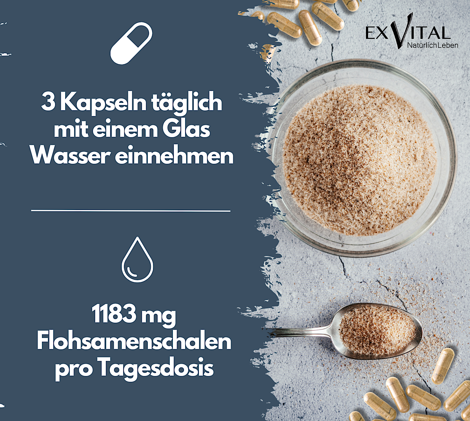 EXVital - Vendita all'ingrosso Vitamine/integratori orali - Colon Ex, 90 capsule di qualità premium con bucce di psillio1