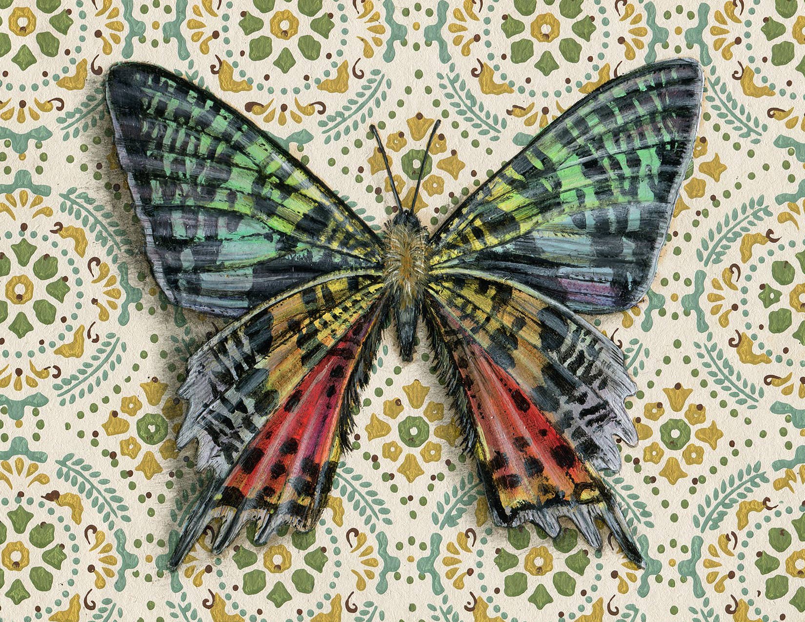 Emily Uchytil – Engroshandel Hverdagshilsen kort – Madagascar Sunset Moth - Note-kort1