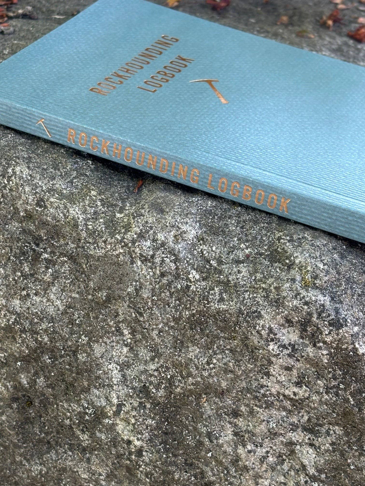 Mountaineers Books - Venta al por mayor Diario/agenda - Libro de registro de búsqueda de minerales2