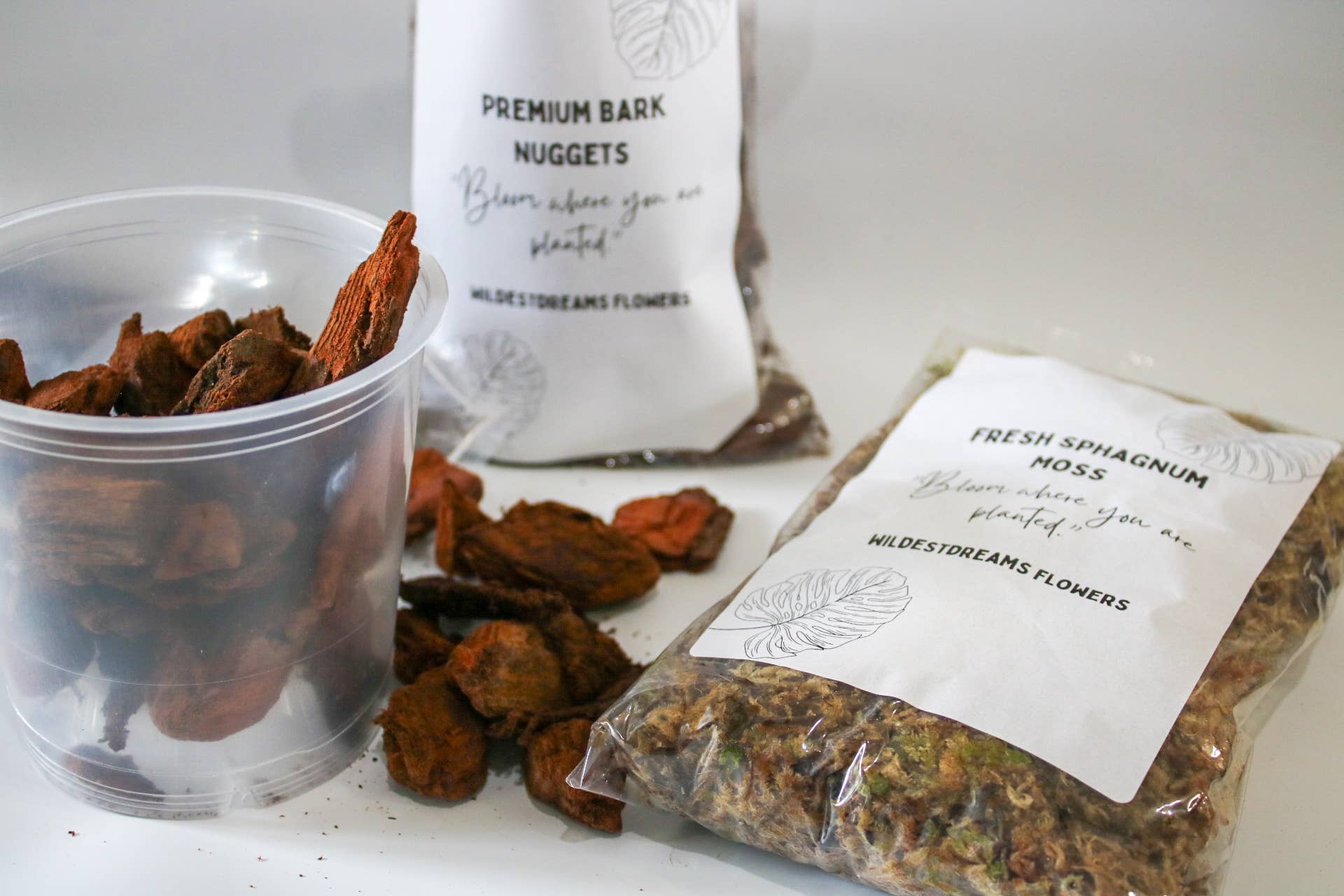 Wildestdreams.flowers - Vendita all'ingrosso Terriccio per piante/vasi - Confezione Duo Torba e Muschio Sphagnum Fresco per Piante5