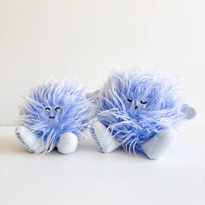 Deux petites étoiles : Polaris Ab et B pour la vente par Celestial Buddies