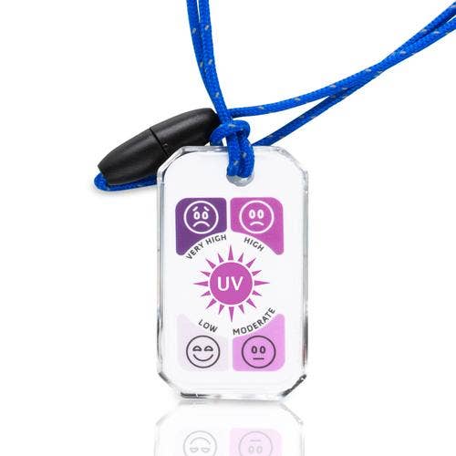Sun Company / Big Discoveries - Wholesale Thermometer - WildLife Zip-o-gage - Moose - Outdoor Thermometer for Kids