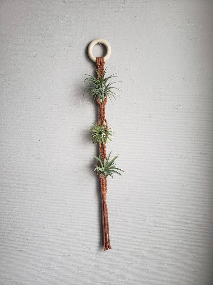 Air Plant Hanger Triple - Camel for wholesale by Mother of Pearl Handmade Goods