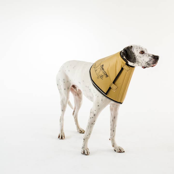 All Four Paws – coleira - Cão por atacado – Med-Extra Longa - O cone confortável original3