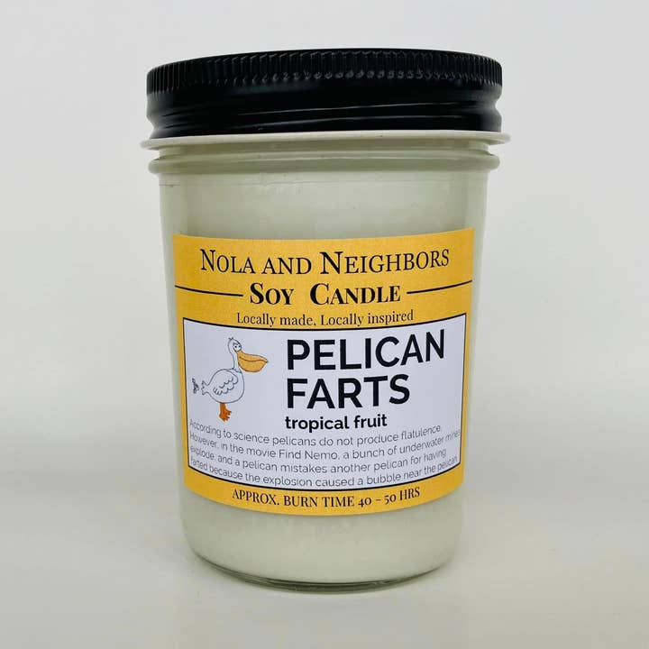 Pelican Farts, tropical fruit scented soy candle for wholesale by Nola and neighbors