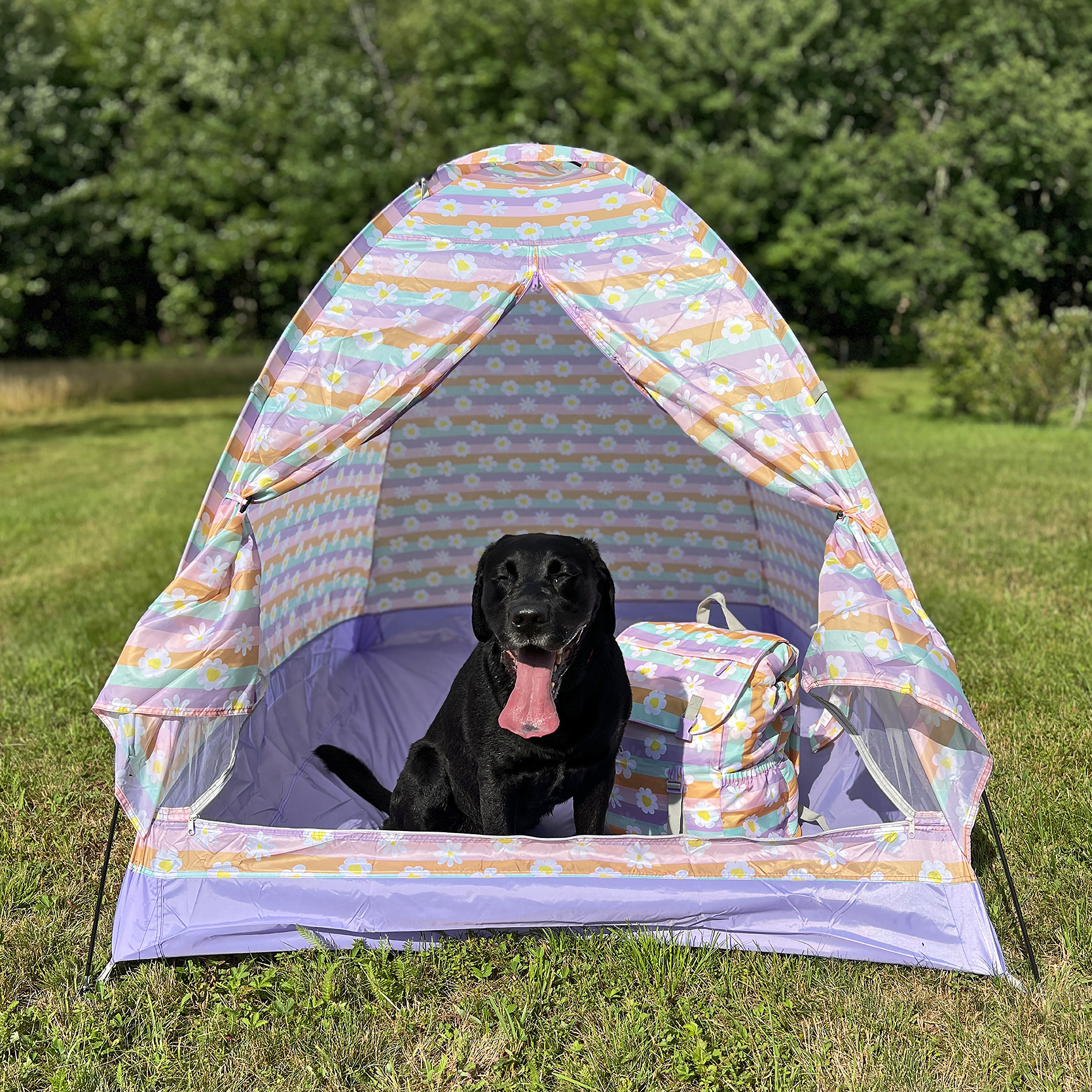 Mimish - Wholesale Tent - Kids - Indoor/Outdoor Camping Play Tent - Happy Daisy Stripes13