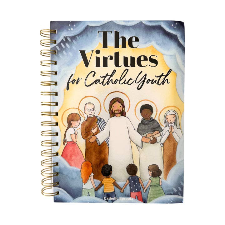 The Virtues for Catholic Youth for wholesale by Catholic Sprouts LLC