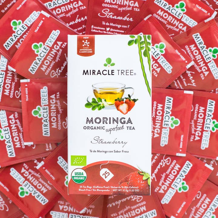 Miracle Tree - Wholesale Tea Bags - Organic Moringa Tea: Strawberry4