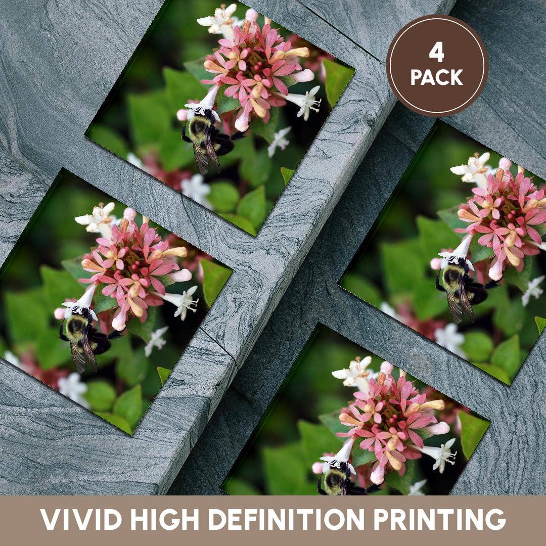 3dRose - Venta al por mayor Posavasos - 3dRose, Fotografía de una abeja con su cara metida en una flor de abelia., Posavasos5