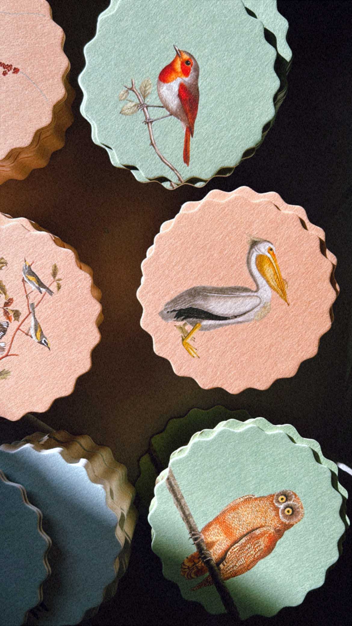 30x40 - Wholesale Onderzetters - Set van 10 onderzetters met vogelmotieven 🦉🦜🐦8