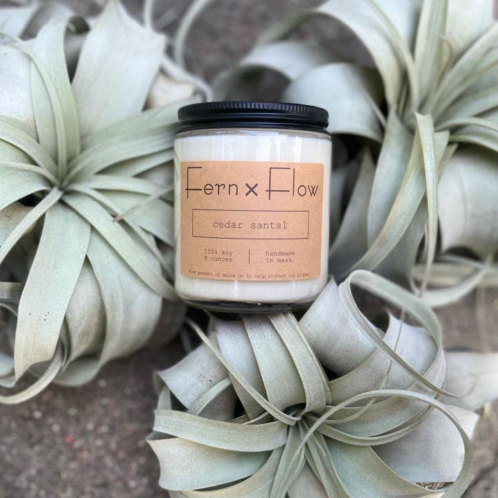 Fern x Flow Soy Candles + Home Fragrance - Wholesale Jar/Filled Candle - Cedar Santal Farmhouse Year Round Glass Soy Candle - 8oz2