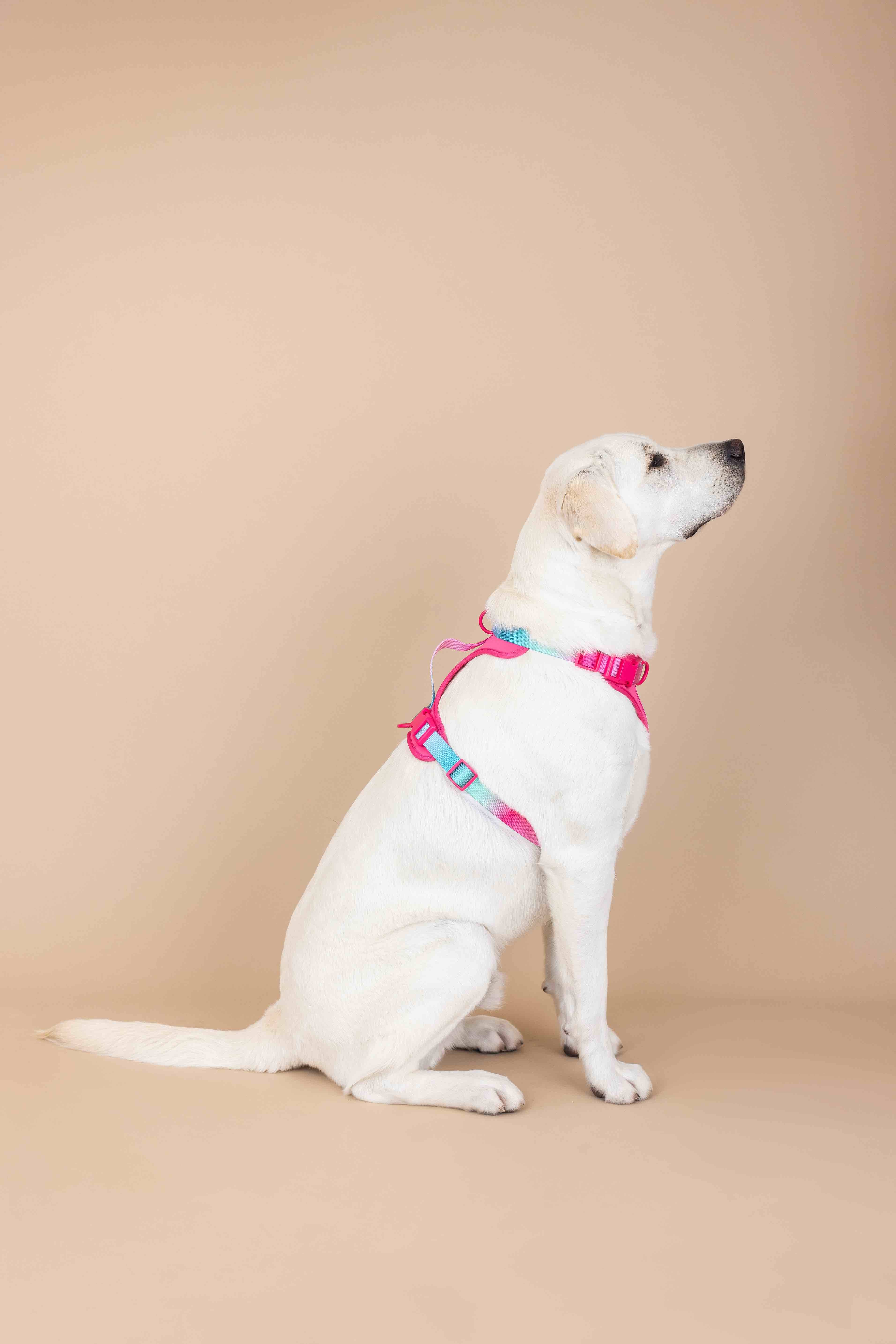 Pink Papyrus | Premium, Durable, & Stylish Dog Products - Wholesale Tuig voor huisdieren - Hond - Stasia hondenharnas | No pull hondenharnas in roze10