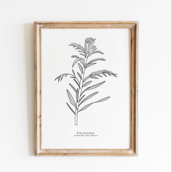 Estampado floral del estado de Nebraska | Estampado para venta al por mayor de Erika Layne Art