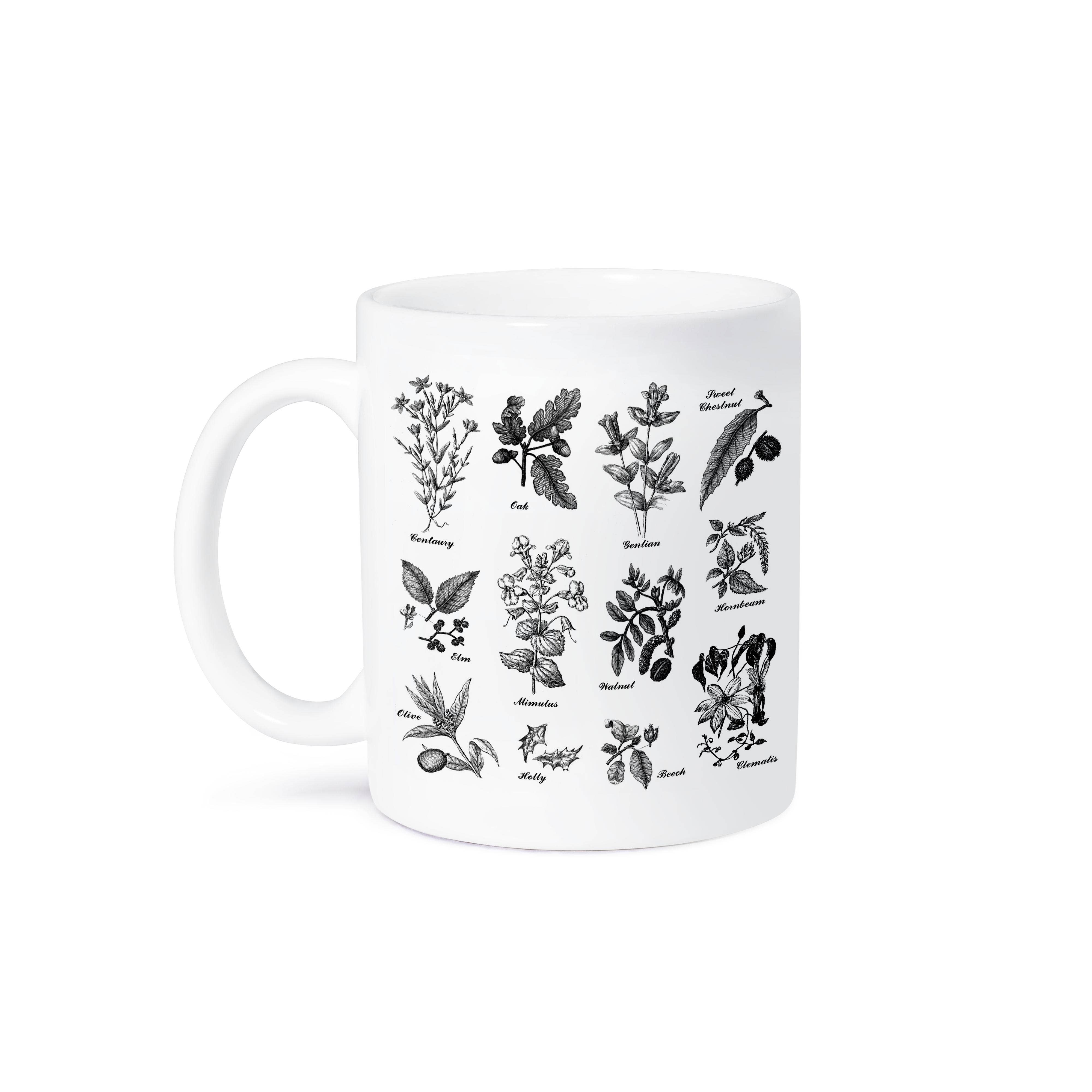 3dRose - Wholesale Coffee mug - 3dRose, Vintage Botanical Plants Trees Flowers Oak Elm Hornbeam Beech Centaury, Mug8