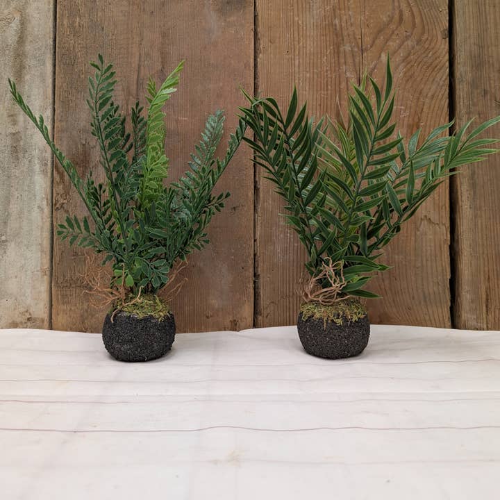 Fougères sur des boules de mousse pour la vente par A.T. Imports