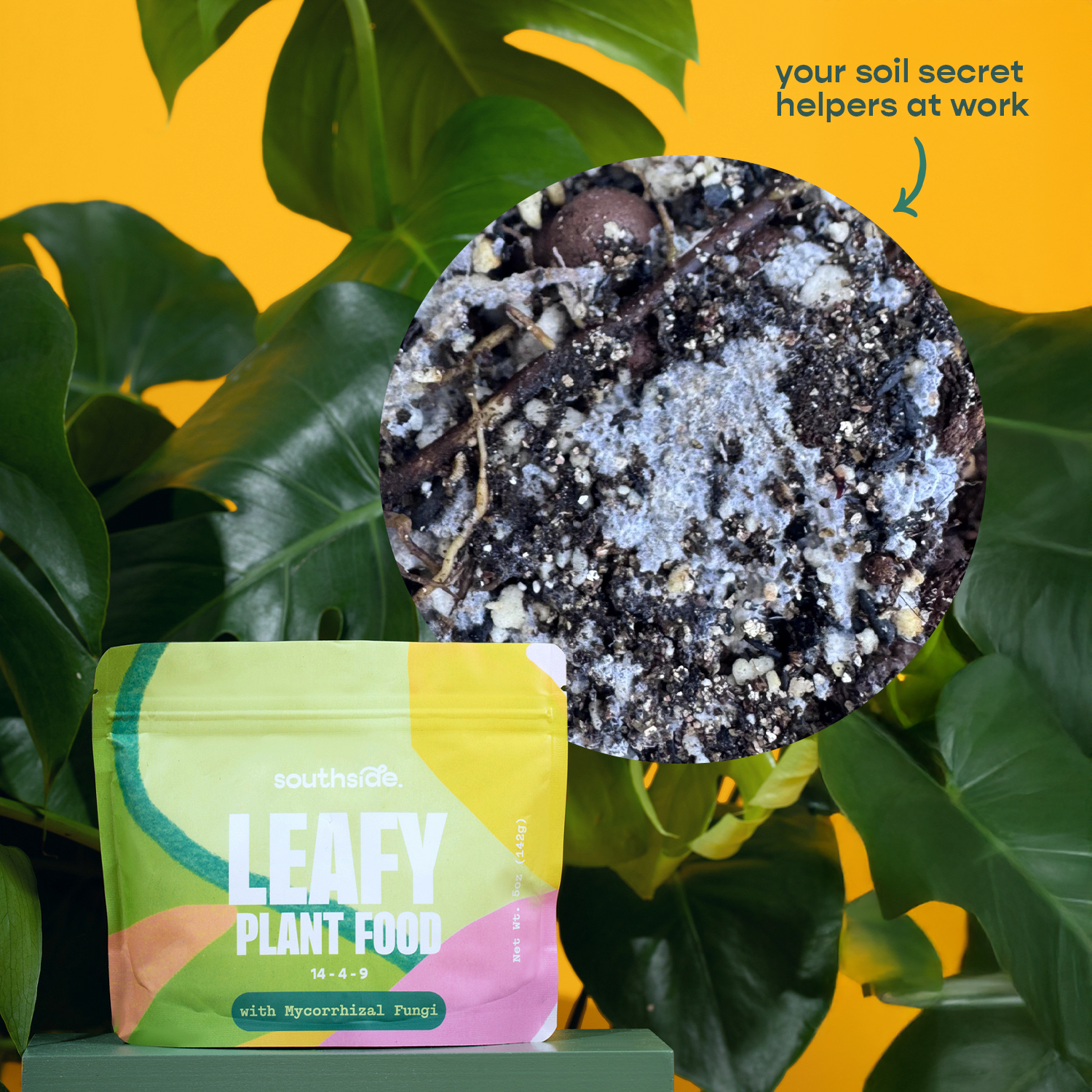 Southside. - Vente Engrais - Nourriture pour Plantes Feuillues - Nutrition Complète et Douce + Mycorhizes4