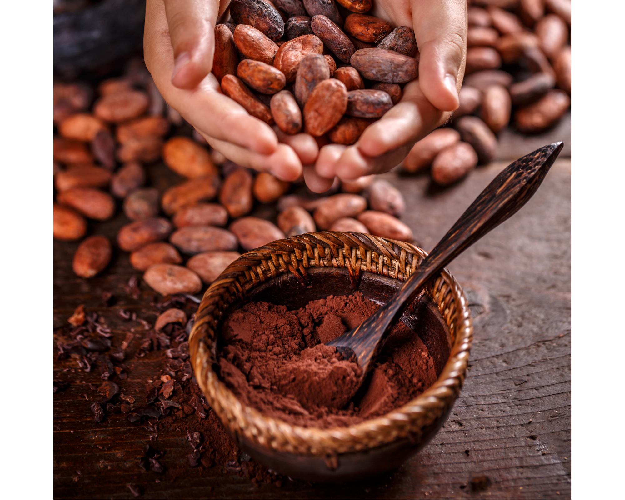 Comptoir Des Epices Madagascar – Großhandel Kakaonibs – ( 1 kg ) - Criollo-Kakaobohnen aus Madagaskar1